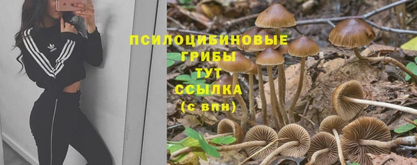 spice Алзамай